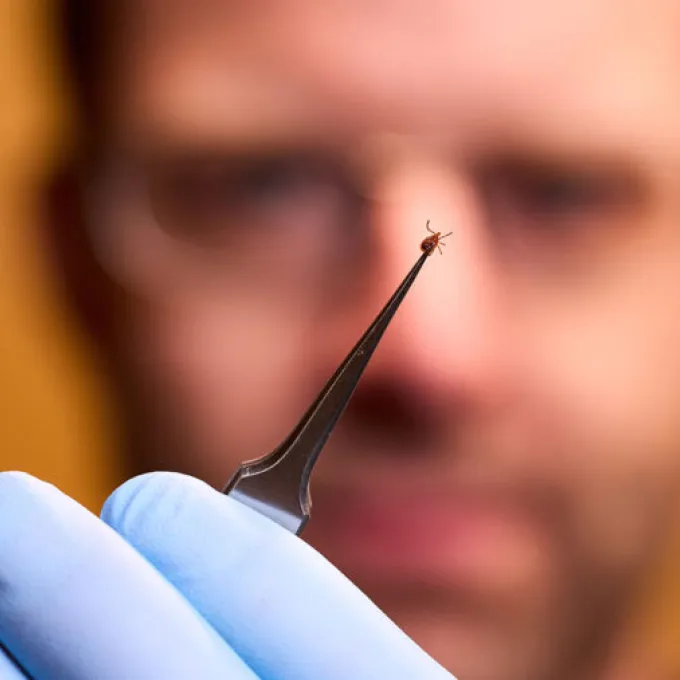 a man holding a tick with tweezers
